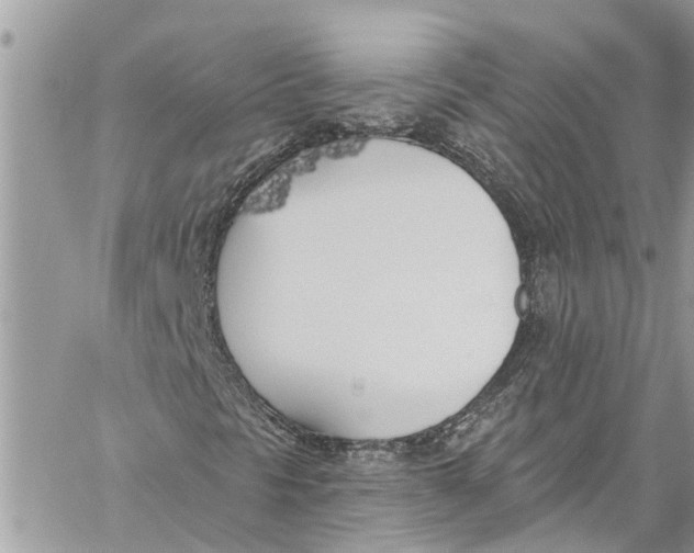 X0000060271297200511181409