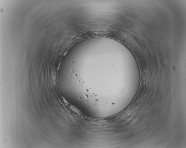 X0000060271298200511181409