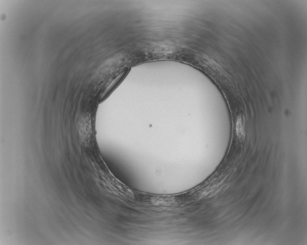 X0000060271299200511181409