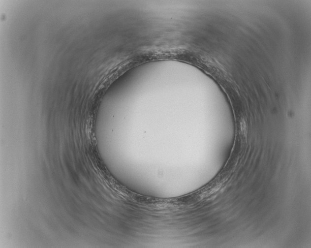 X0000060271300200511181409