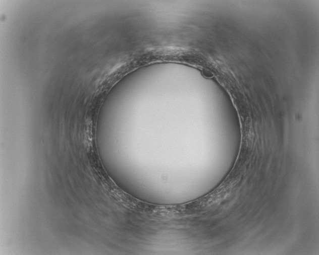 X0000060271301200511181409