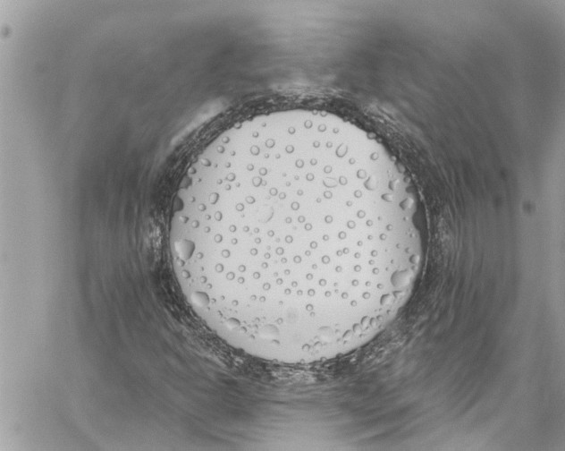 X0000060271302200511181409