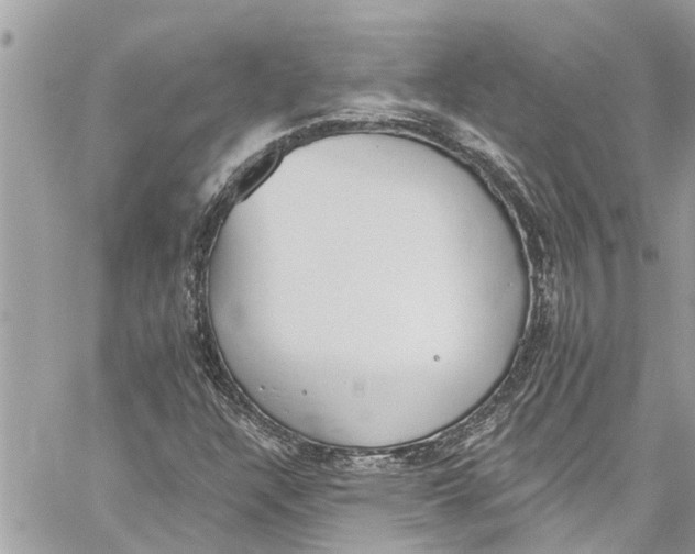 X0000060271304200511181409