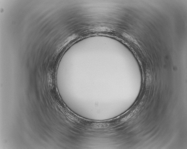 X0000060271305200511181409