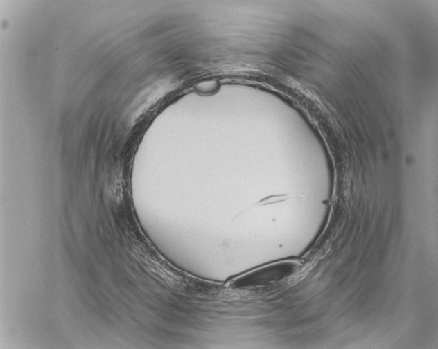 X0000060271306200511181409