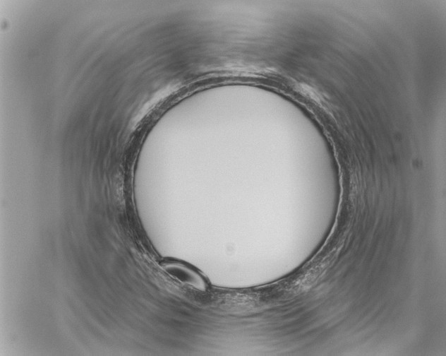 X0000060271307200511181409