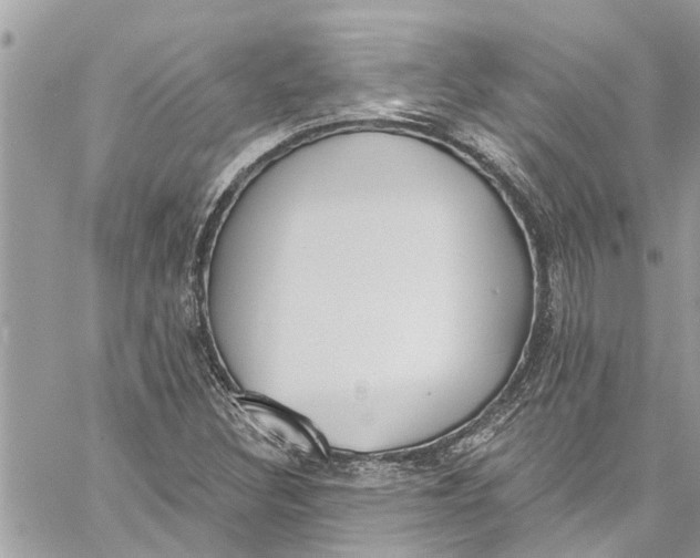 X0000060271308200511181409