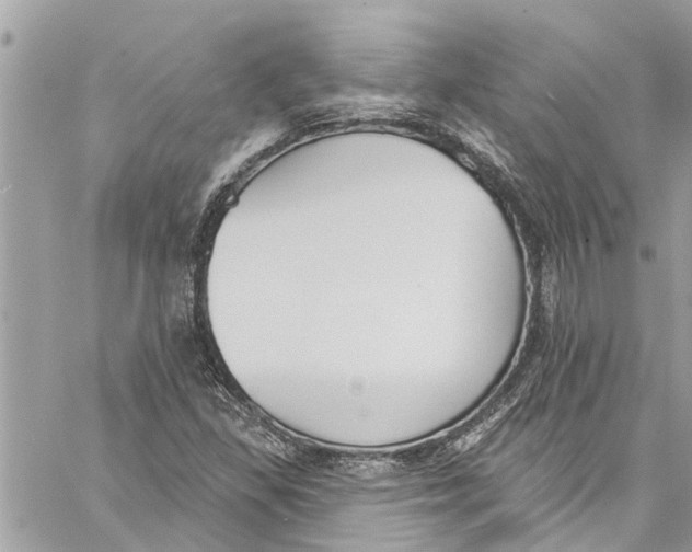 X0000060271309200511181409