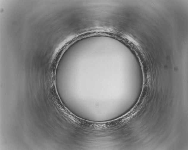 X0000060271310200511181409