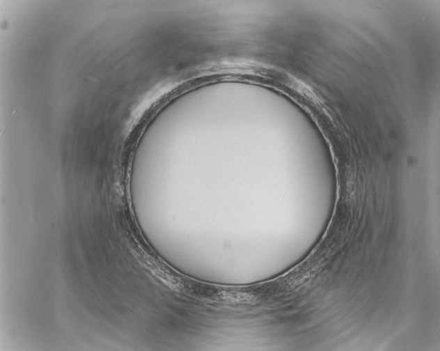 X0000060271312200511181409