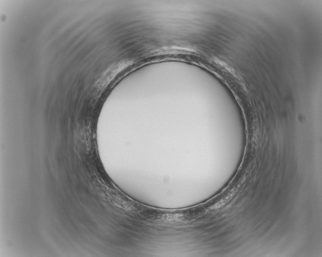 X0000060271313200511181409