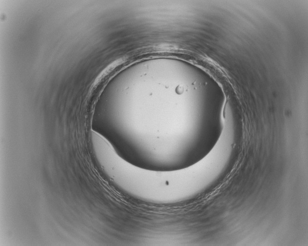 X0000060271314200511181409