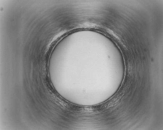 X0000060271315200511181409