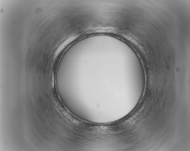 X0000060271317200511181409