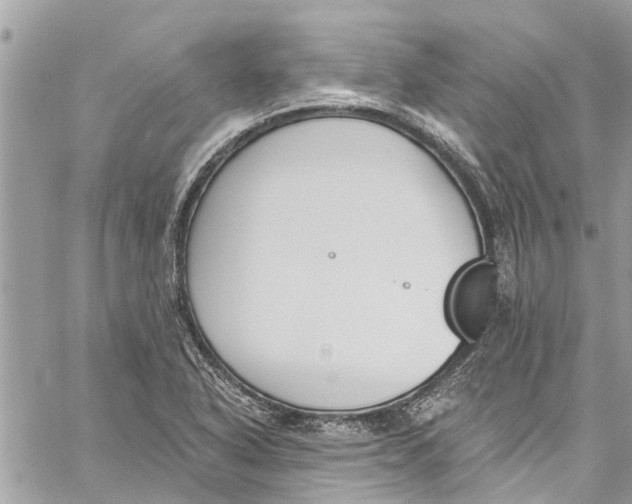 X0000060271318200511181409