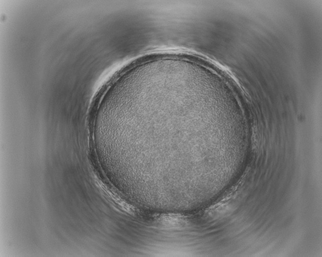 X0000060271319200511181409