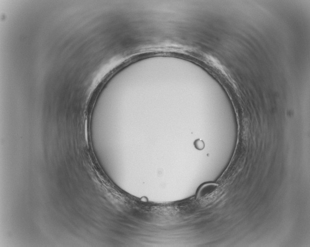 X0000060271320200511181409