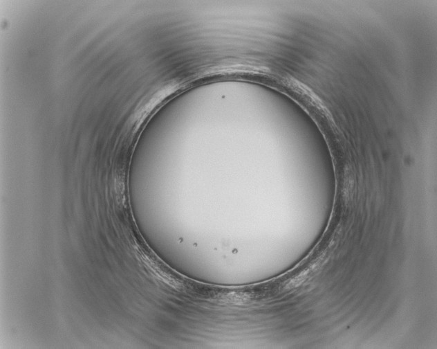 X0000060271321200511181409