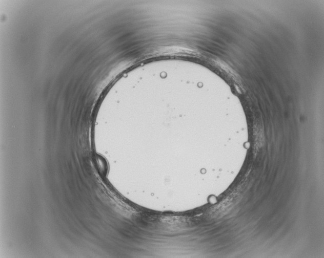 X0000060271322200511181409