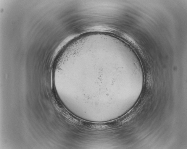 X0000060271323200511181409