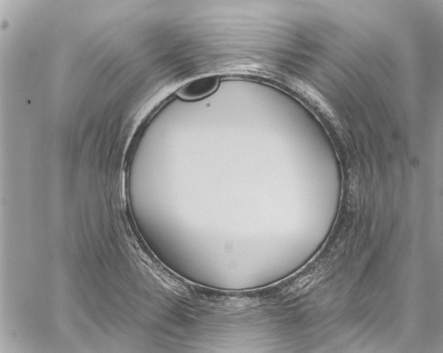 X0000060271324200511181409