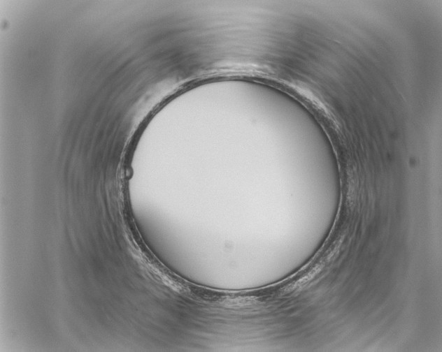 X0000060271325200511181409