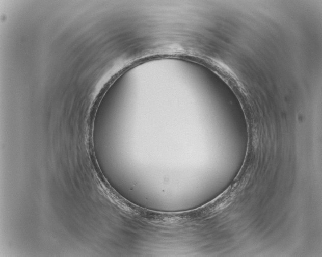 X0000060271326200511181409