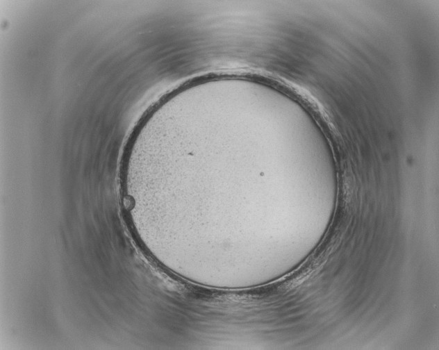 X0000060271327200511181409