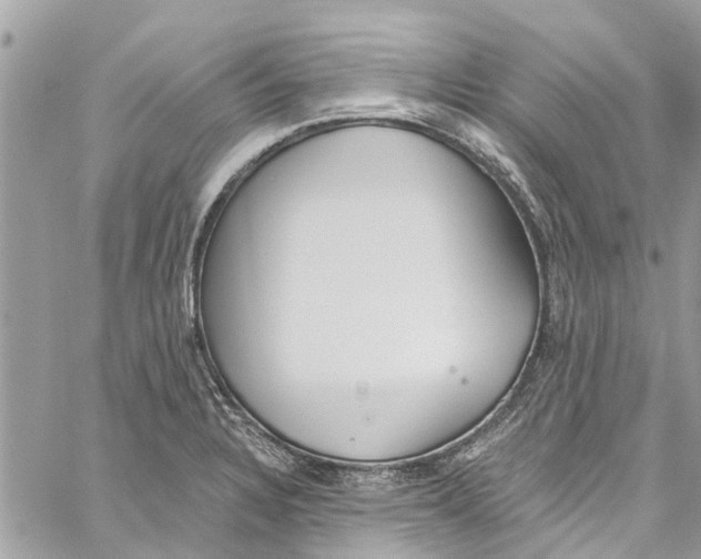 X0000060271328200511181409