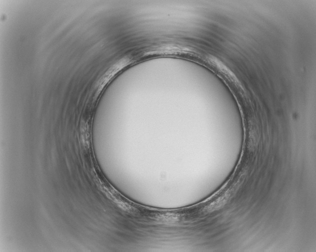 X0000060271329200511181409