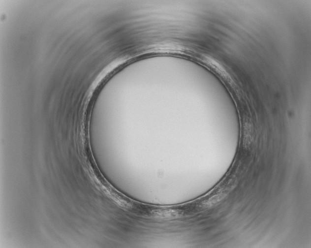 X0000060271331200511181409