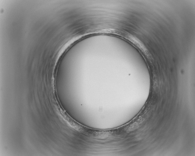 X0000060271332200511181409