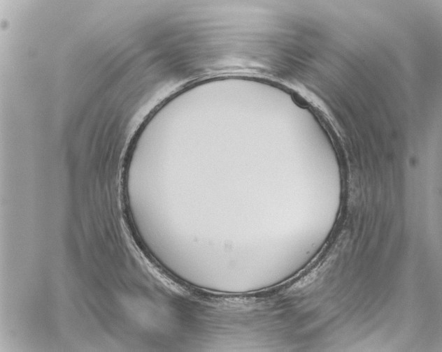 X0000060271333200511181409