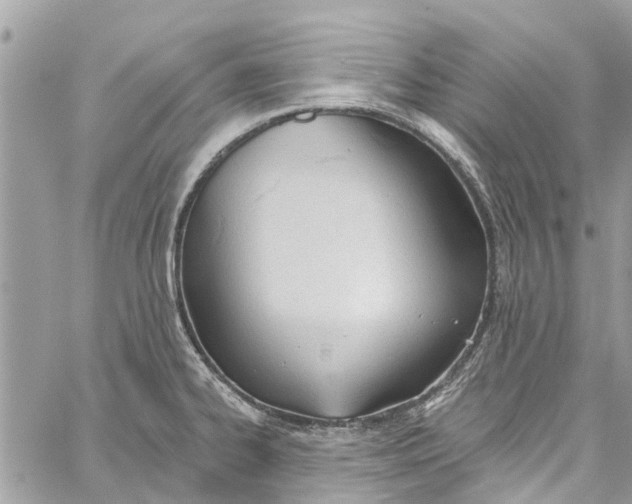 X0000060271334200511181410