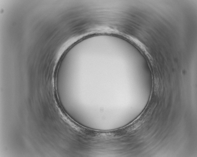 X0000060271335200511181410