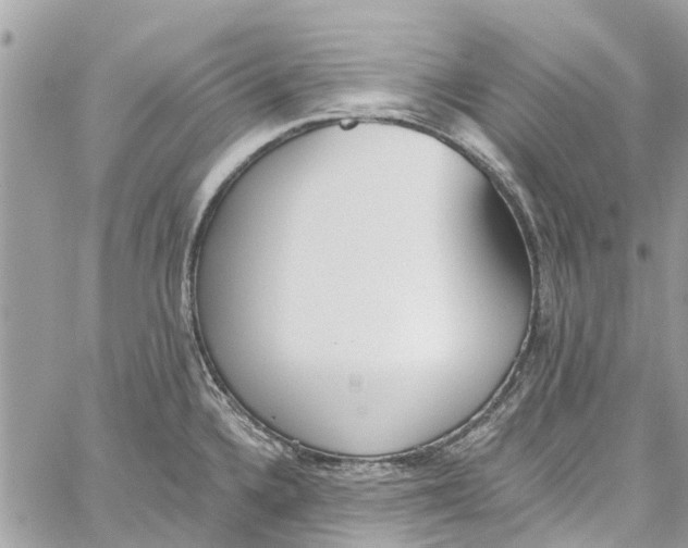 X0000060271336200511181410