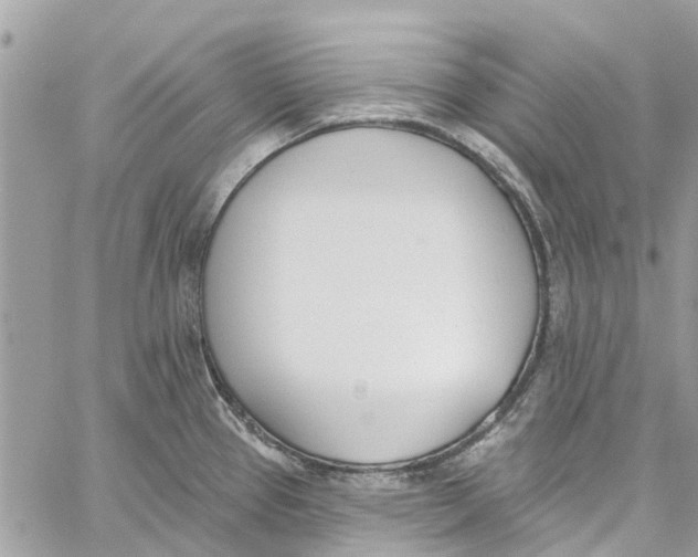 X0000060271337200511181410