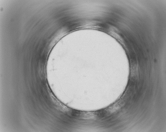 X0000060271338200511181410