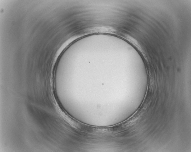 X0000060271339200511181410