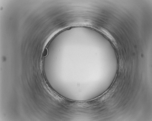 X0000060271340200511181410