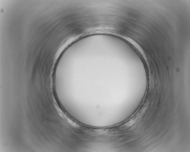 X0000060271341200511181410