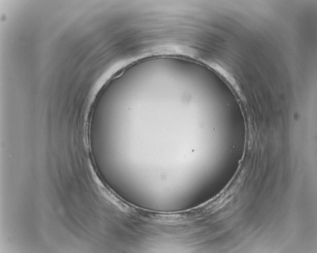 X0000060271342200511181410