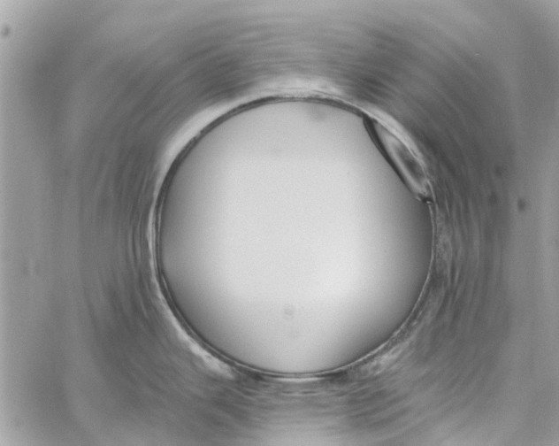 X0000060271343200511181410