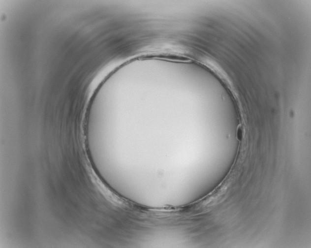 X0000060271344200511181410