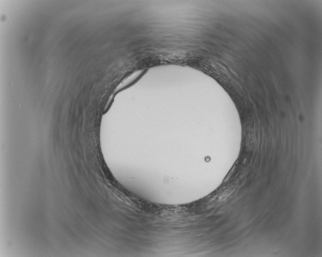 X0000060271345200511181409