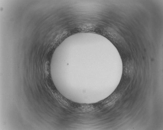 X0000060271346200511181409