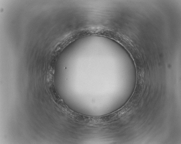 X0000060271349200511181409