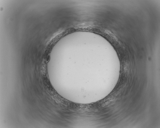 X0000060271350200511181409