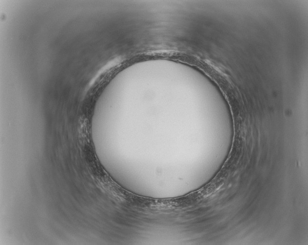 X0000060271351200511181409