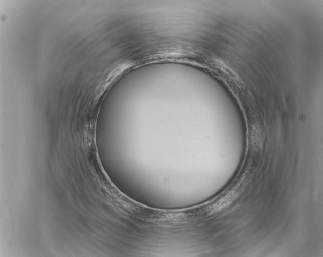 X0000060271353200511181409